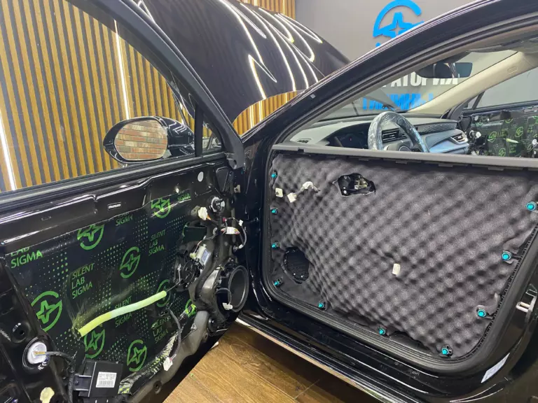 Шумоизоляция дверей Hongqi HS5-4