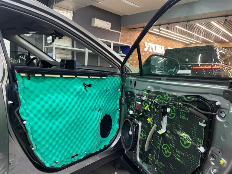 Шумоизоляция дверей Lexus RX 300-3